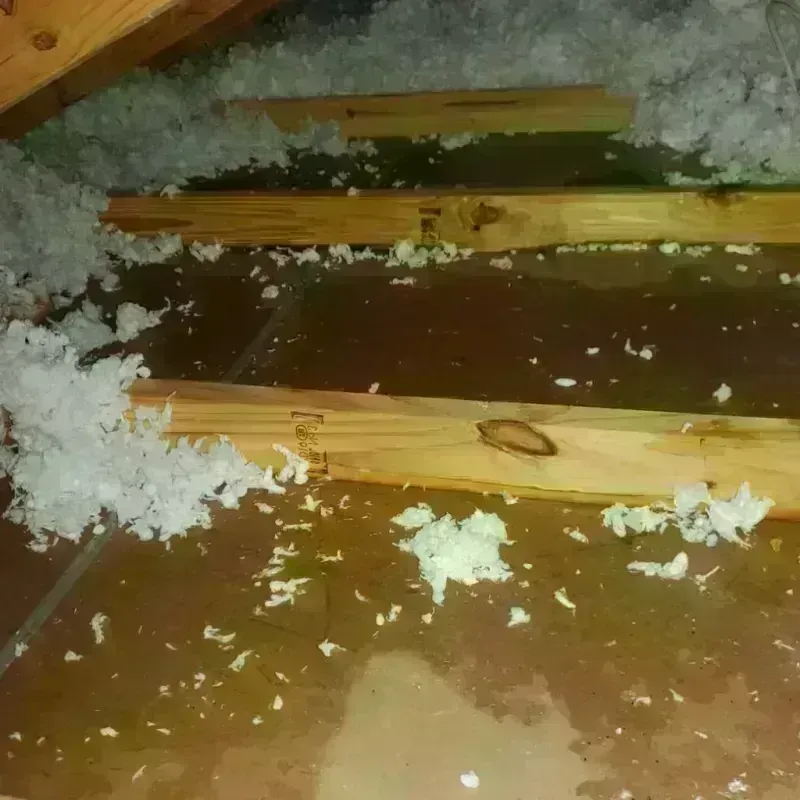 Best Attic Water Damage Service in Garrard County, KY