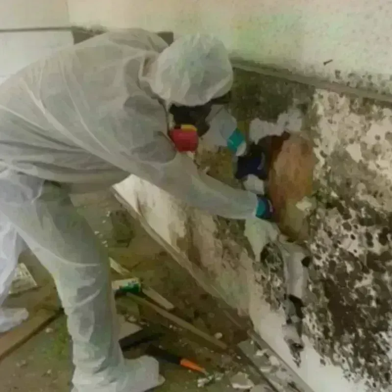 Mold Remediation and Removal in Garrard County, KY